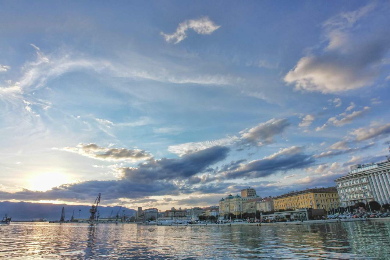 Kuca Za Odmor Villa Curlylocs - Vila Kosjenka Viskovo Екстер'єр фото